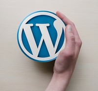 Wordpress CMS ideaal voor SEO Wordpress-logo-200